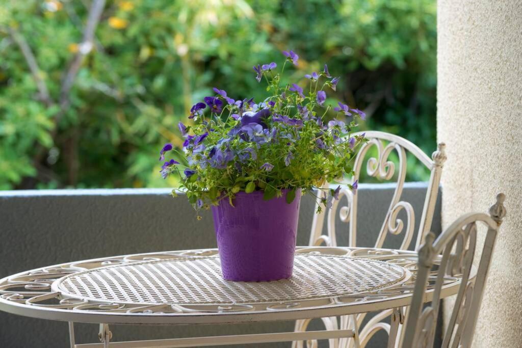 Apartman Leda Dubrovnik Dış mekan fotoğraf